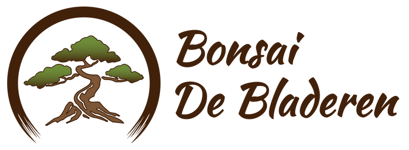 Bonsai De Bladeren