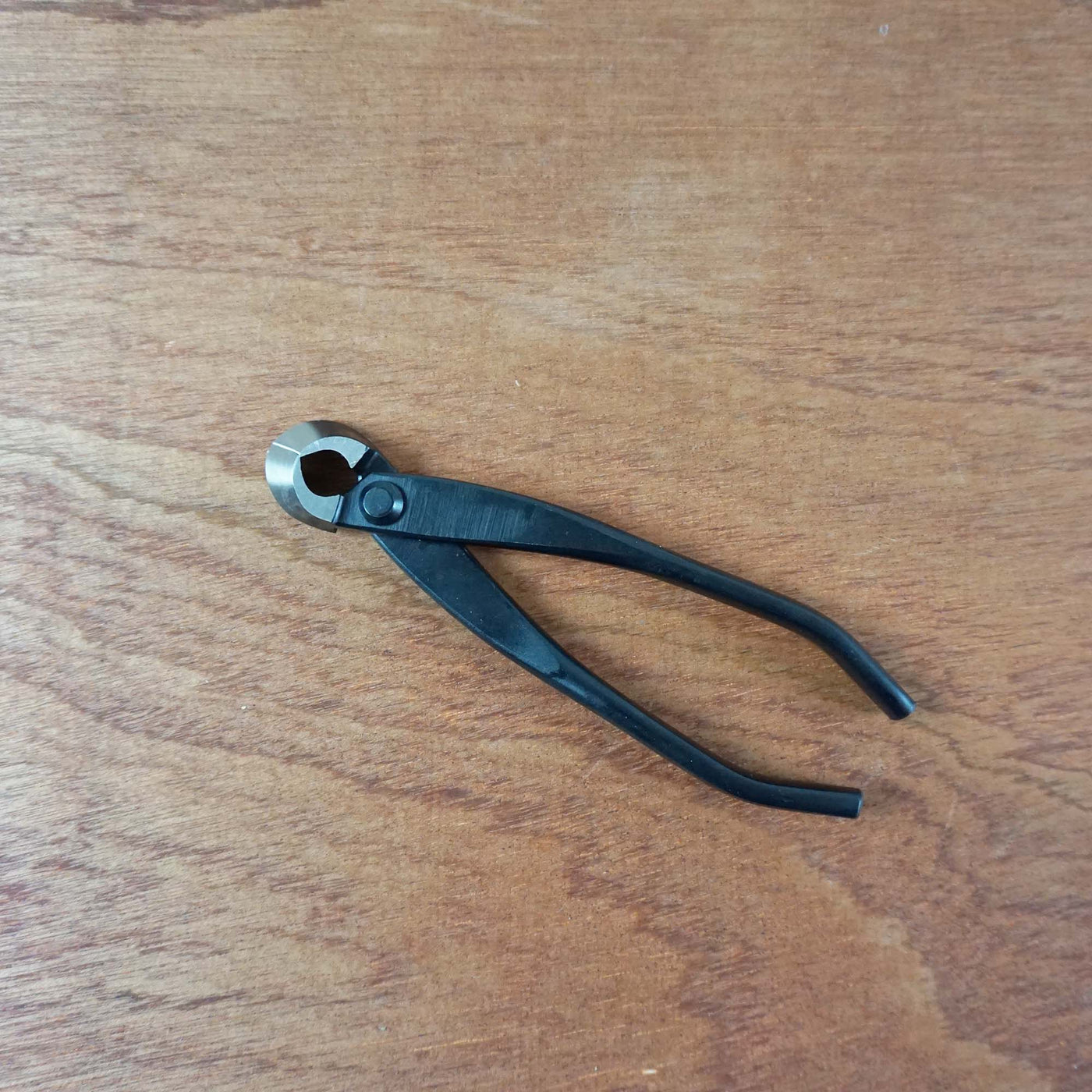 Bonsai Concaaftang '180 mm'