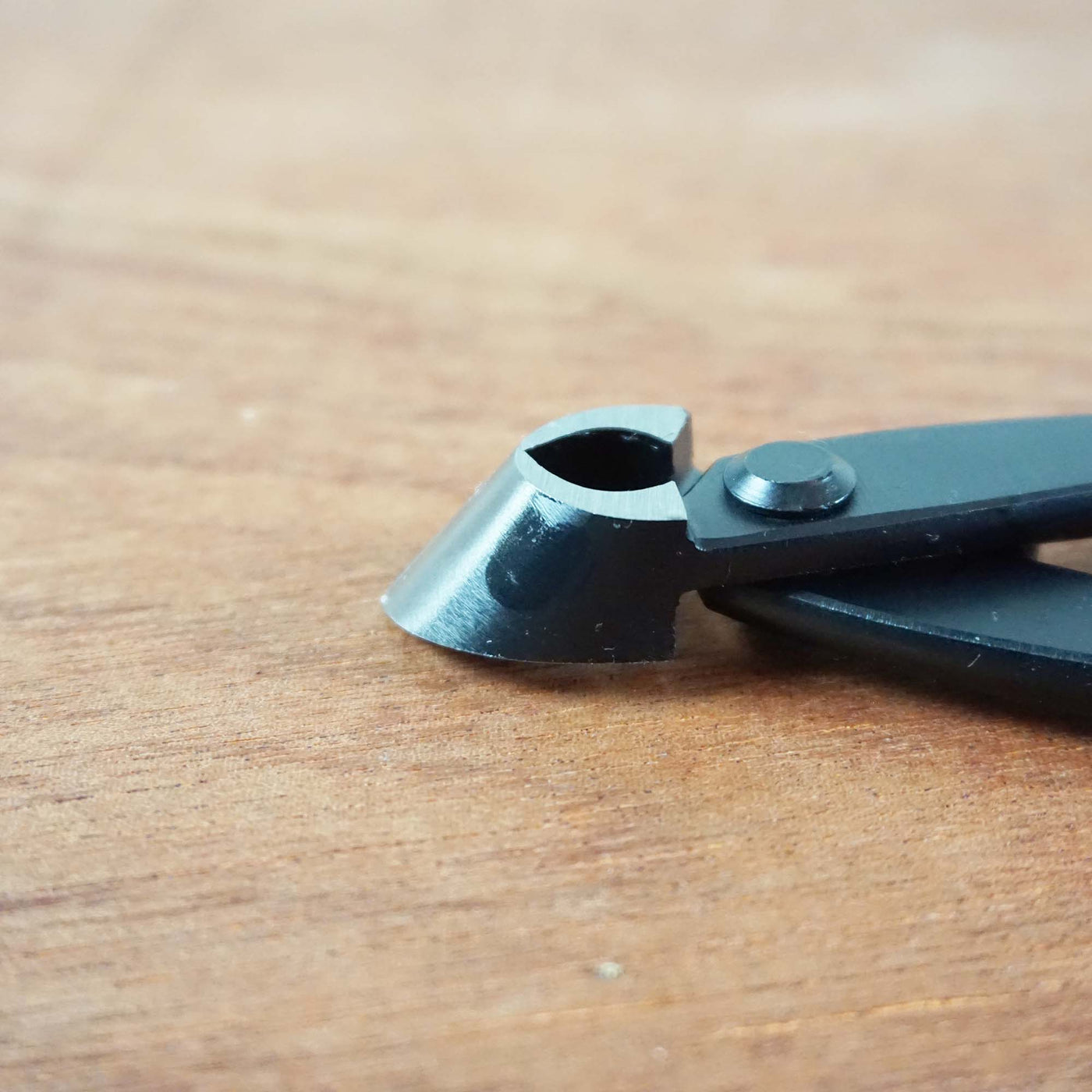 Bonsai Concaaftang '180 mm'