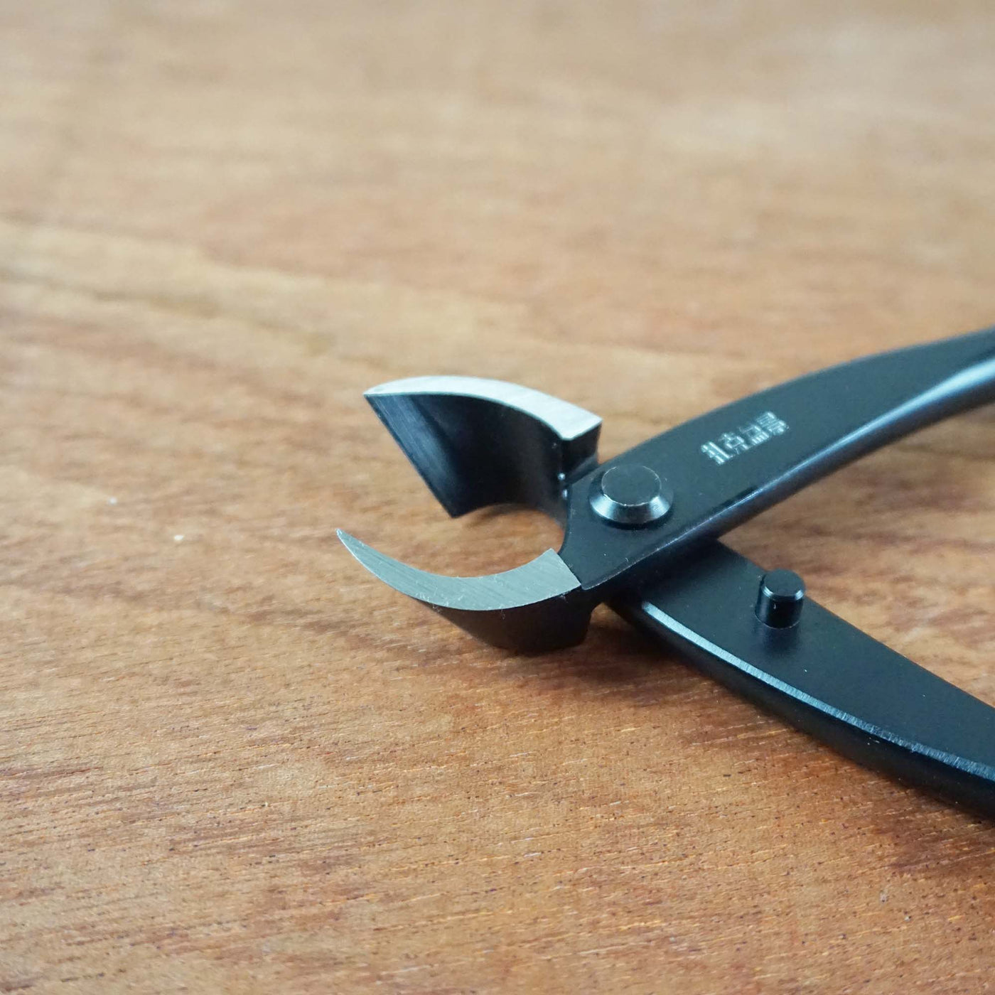 Bonsai Concaaftang '180 mm'