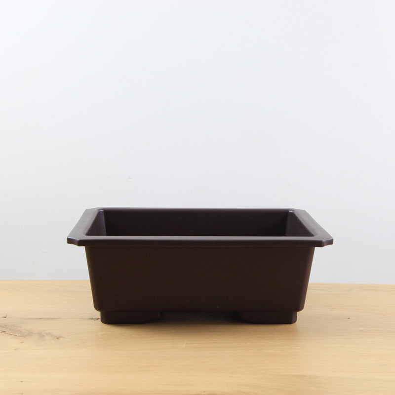 Bonsai trainingspot '38,0cm'