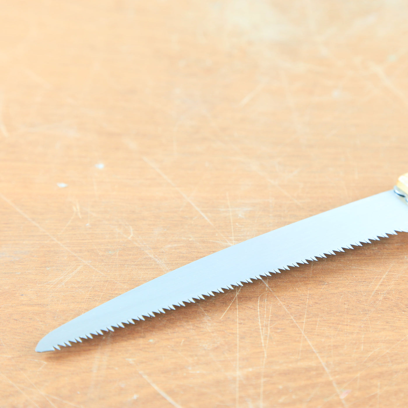 Bonsai zaag '420 mm'