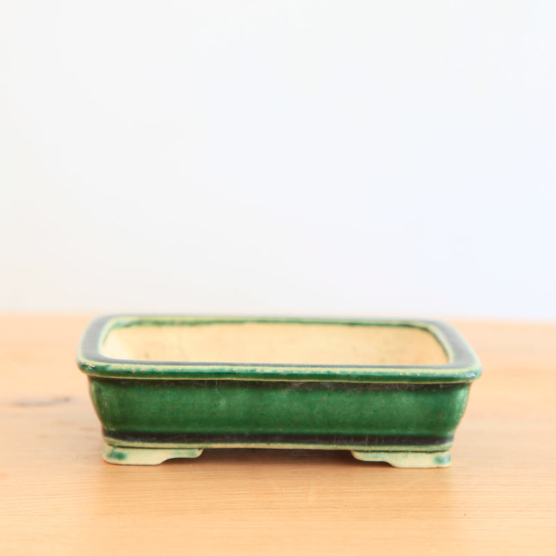 Bonsai Pot Tokoname 'rechthoekig'
