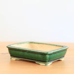Bonsai Pot Tokoname 'rechthoekig'