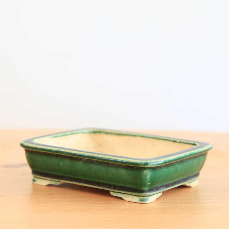 Bonsai Pot Tokoname 'rechthoekig'