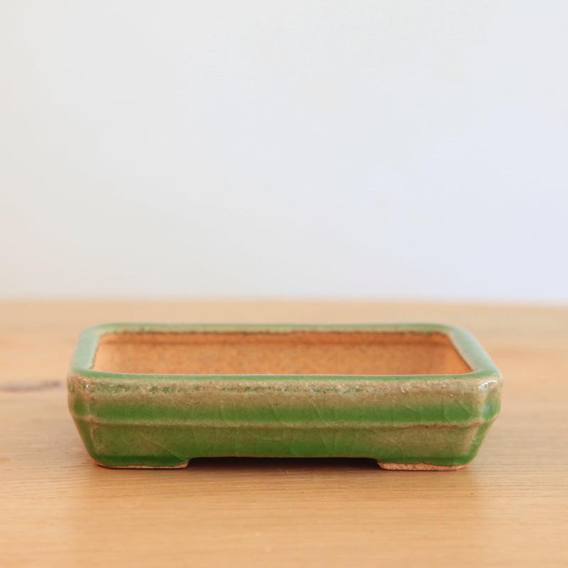 Bonsai Pot Tokoname 'rechthoekig'