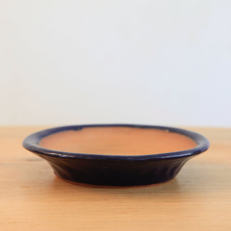 Bonsai Pot Tokoname 'rond'