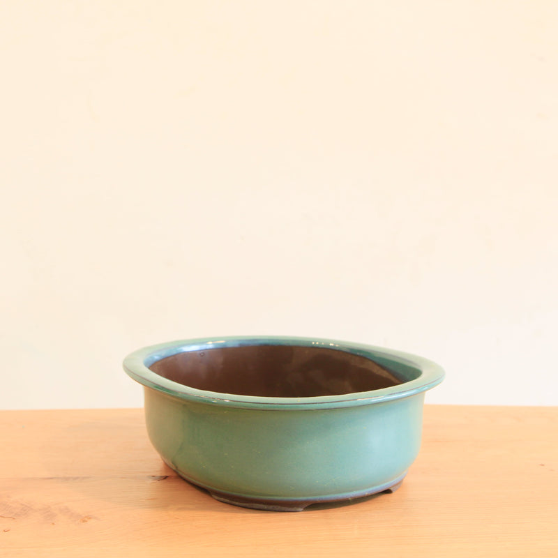 Bonsai Pot 'ovaal'