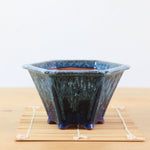 Bonsai Pot 'zeshoekig'