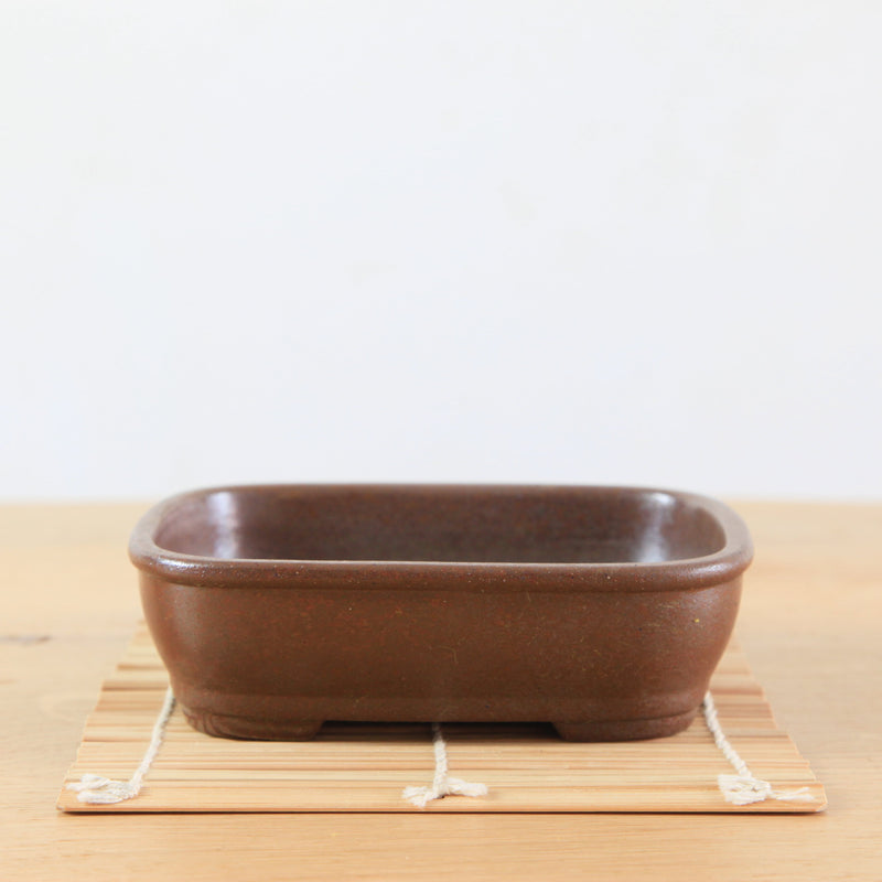 Bonsai Pot 'rechthoekig'
