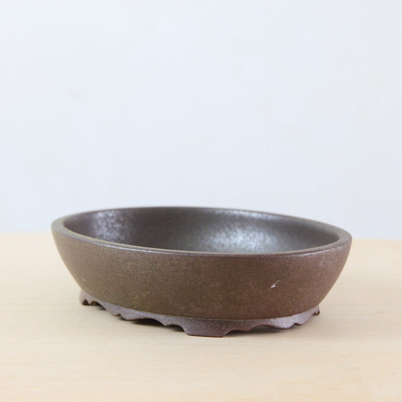 Bonsai Pot 'ovaal'