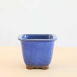 Bonsai Pot 'vierkant'