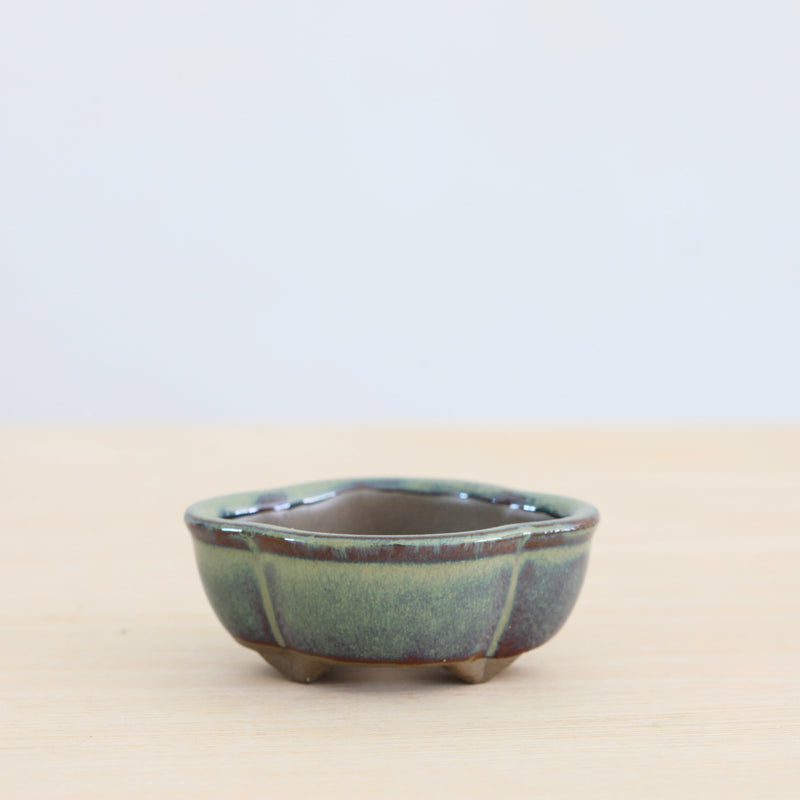 Bonsai Pot 'ovaal & vierkant'