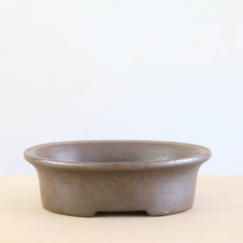 Bonsai Pot 'ovaal'