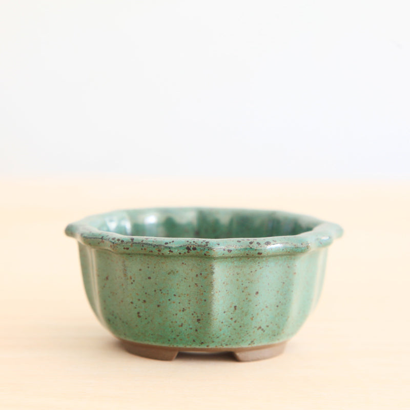Bonsai Pot 'ovaal'