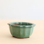 Bonsai Pot 'ovaal'