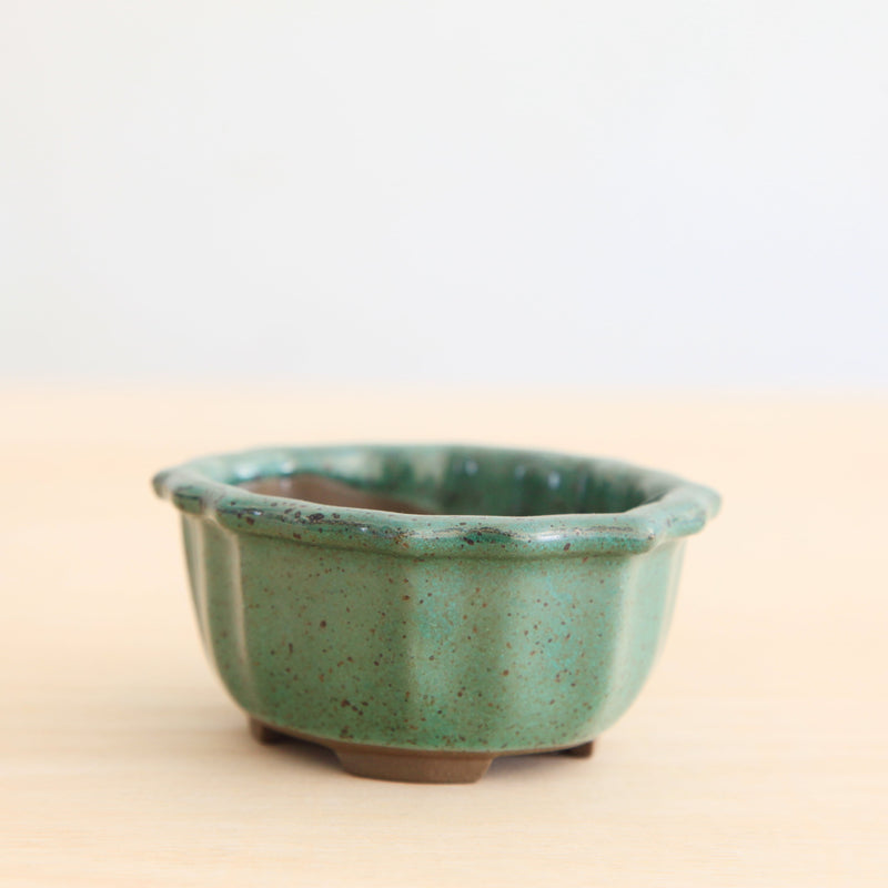 Bonsai Pot 'ovaal'