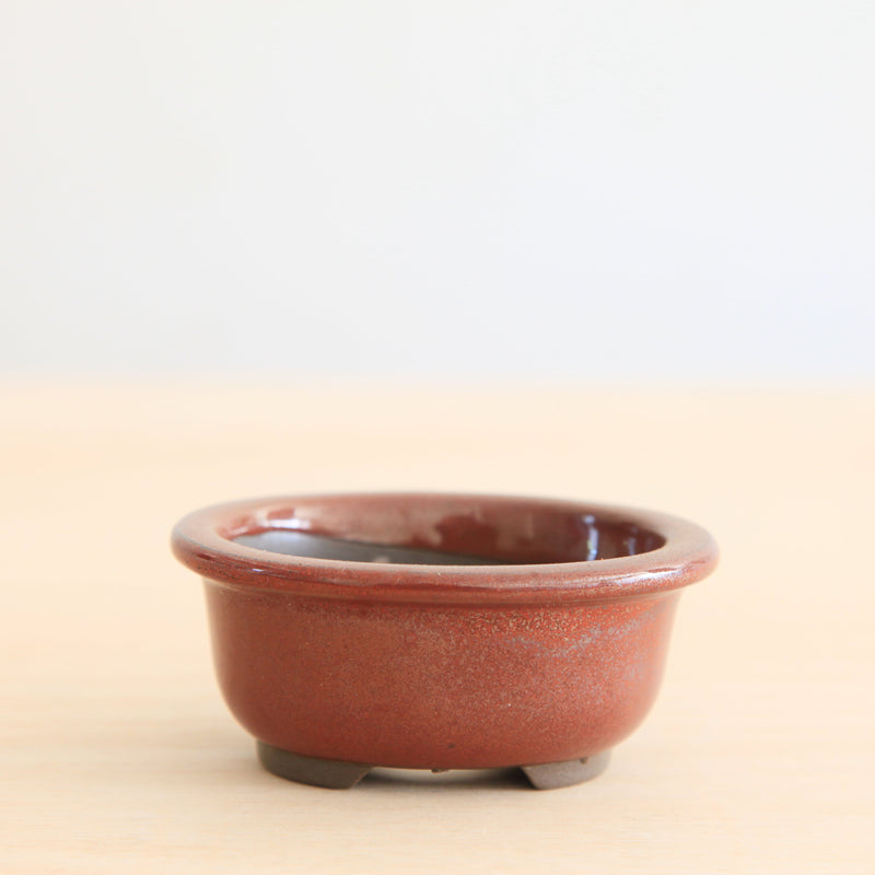 Bonsai Pot 'ovaal'