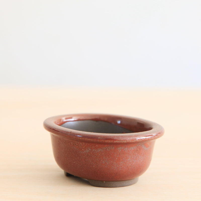 Bonsai Pot 'ovaal'