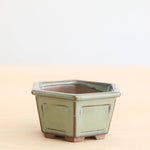 Bonsai Pot 'zeshoekig'