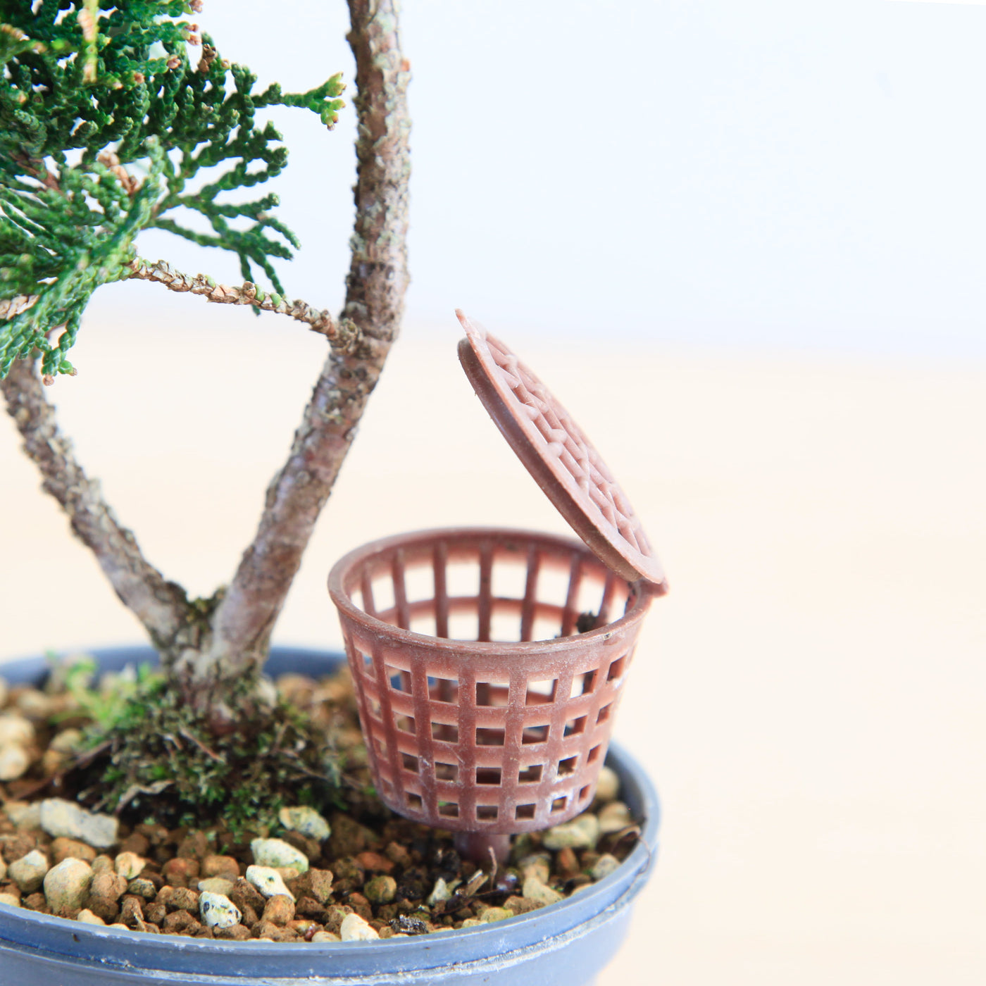 Bonsai voeding mandje '45mm'