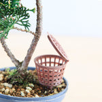 Bonsai voeding mandje '35mm'