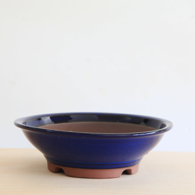 Bonsai Pot 'rond'