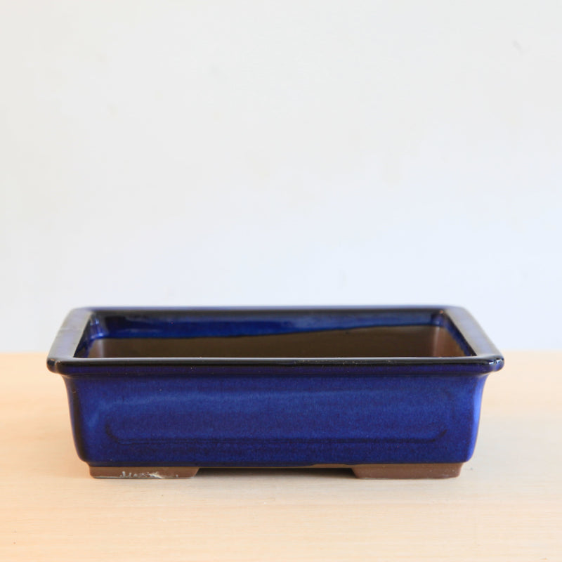 Bonsai Pot 'rechthoekig'