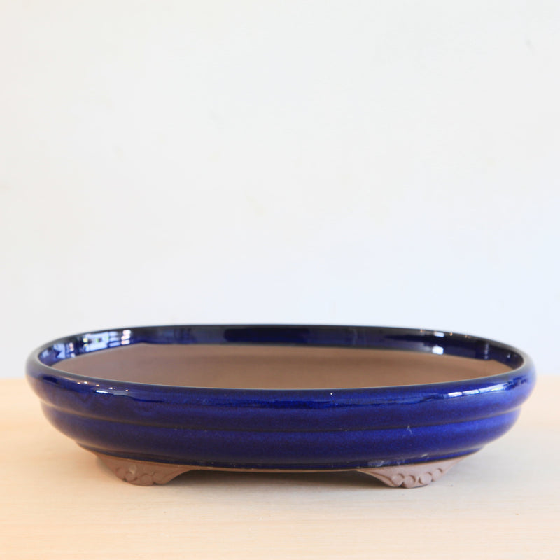 Bonsai Pot 'ovaal'