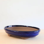 Bonsai Pot 'ovaal'
