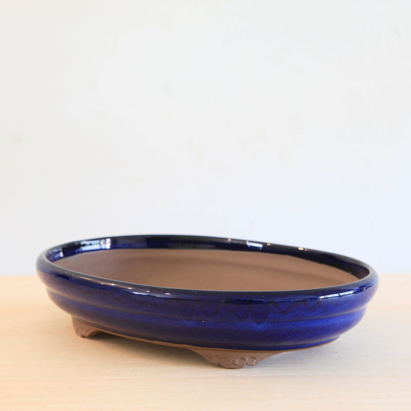 Bonsai Pot 'ovaal'