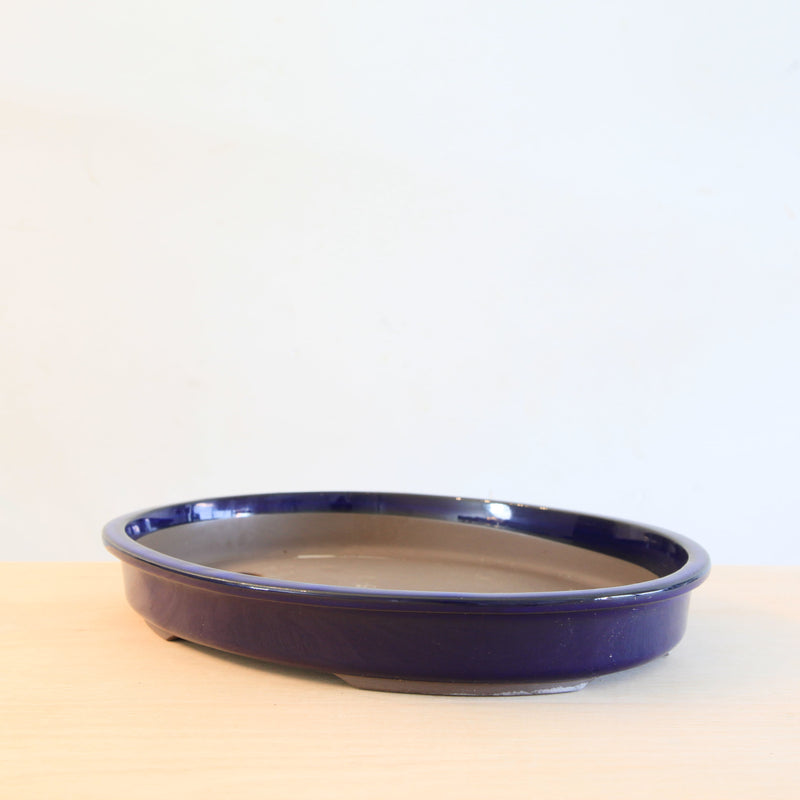 Bonsai Pot 'ovaal'
