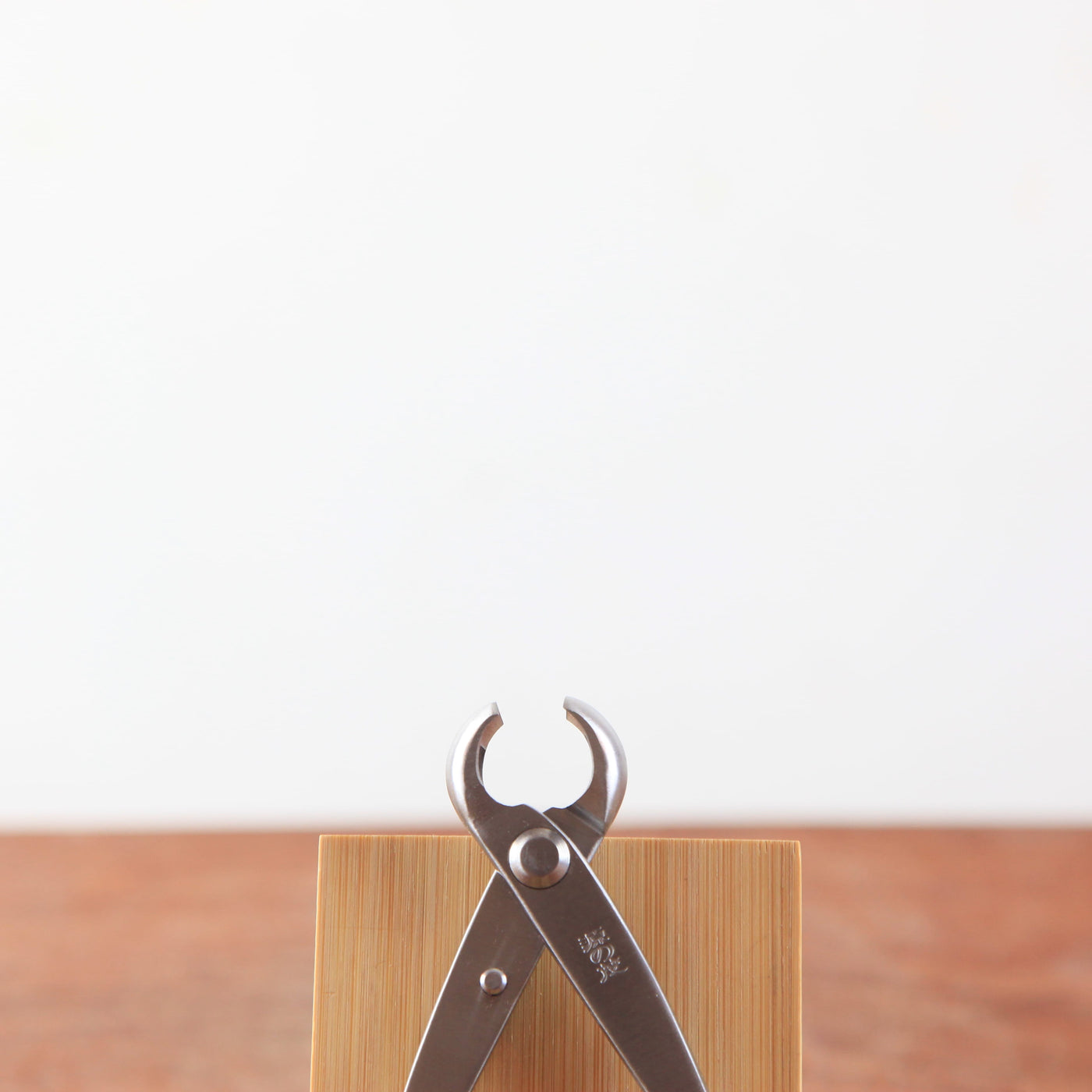 Bonsai Knobbeltang 180 mm - RVS