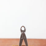 Bonsai Knobbeltang 180 mm - RVS