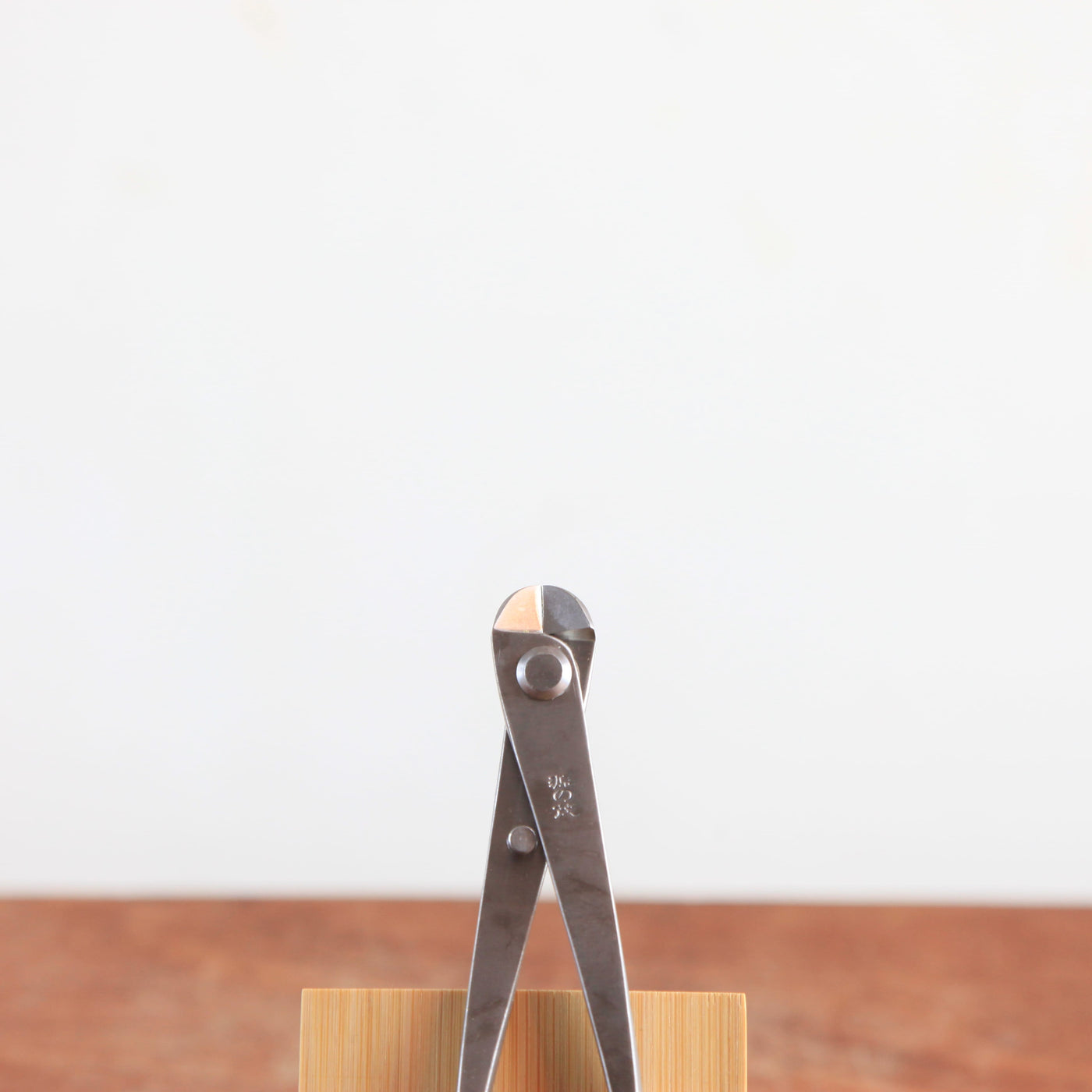 Bonsai Draadtang 180cm RVS