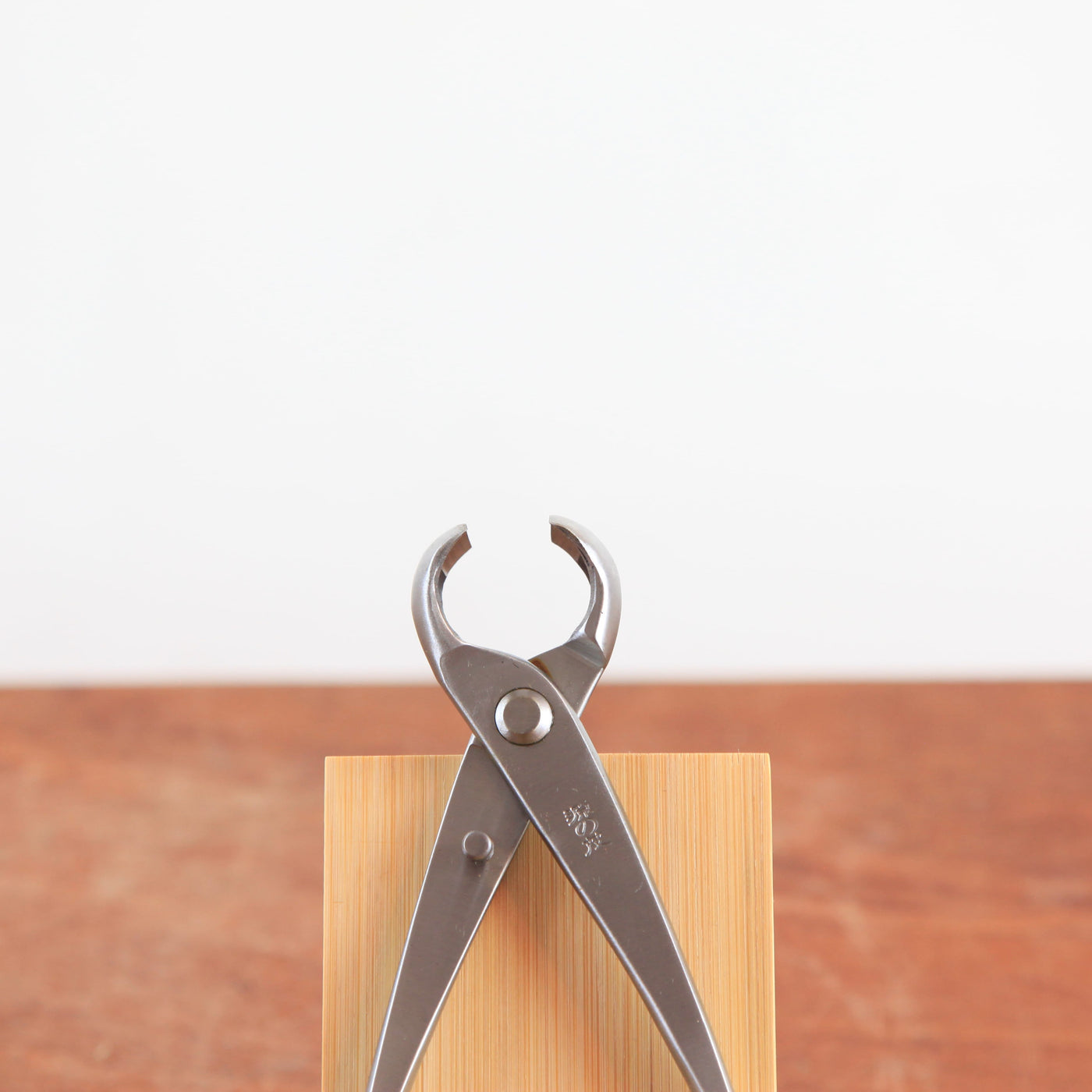 Bonsai Knobbeltang 210mm - RVS