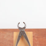 Bonsai Knobbeltang 210mm - RVS