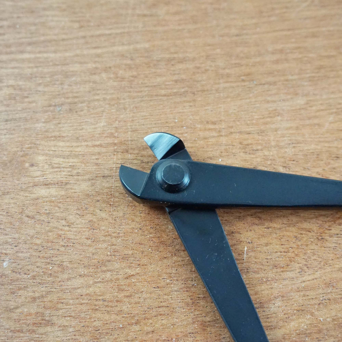 Bonsai Draadtang '180cm'