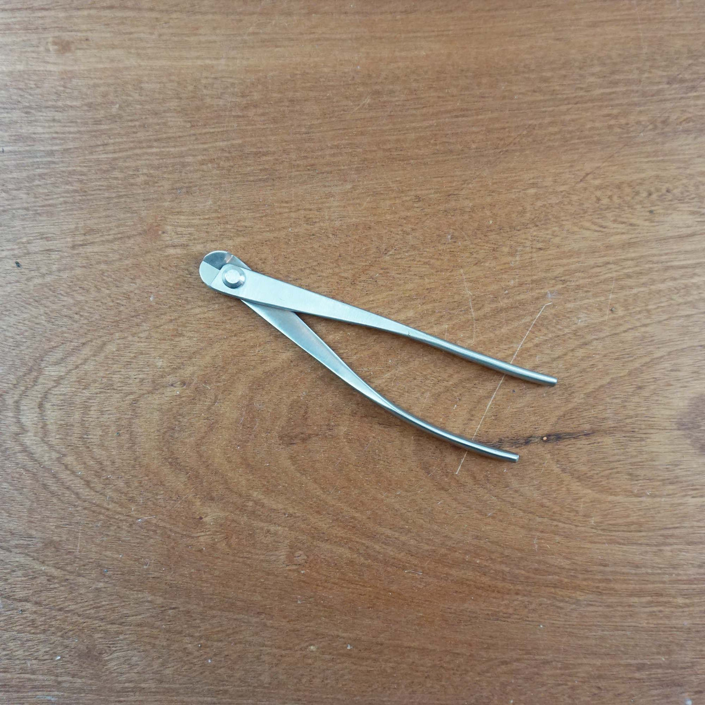 Bonsai Draadtang RVS '180cm'