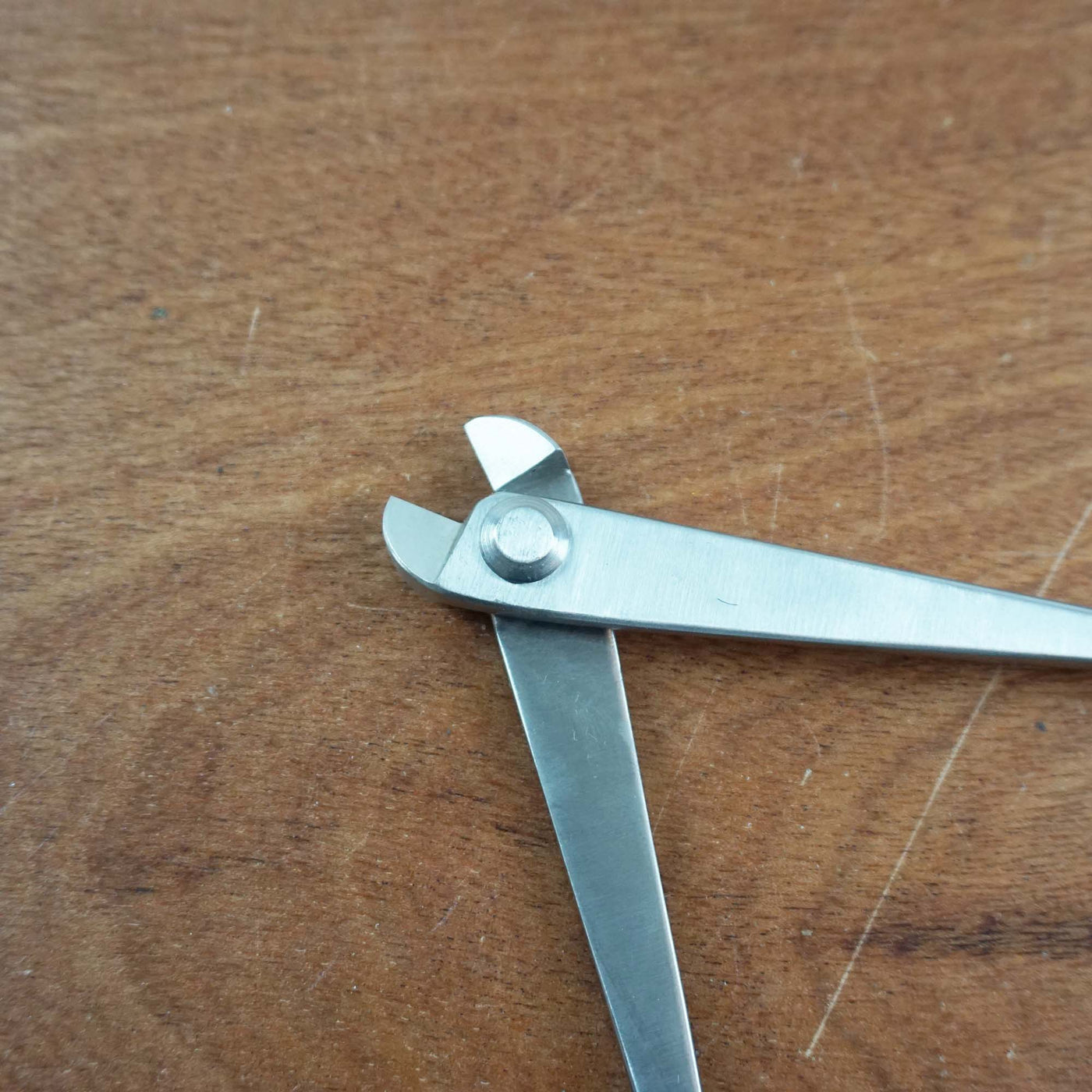 Bonsai Draadtang RVS '180cm'