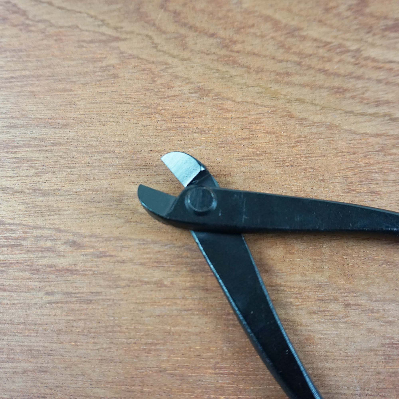 Bonsai Draadtang '210cm'