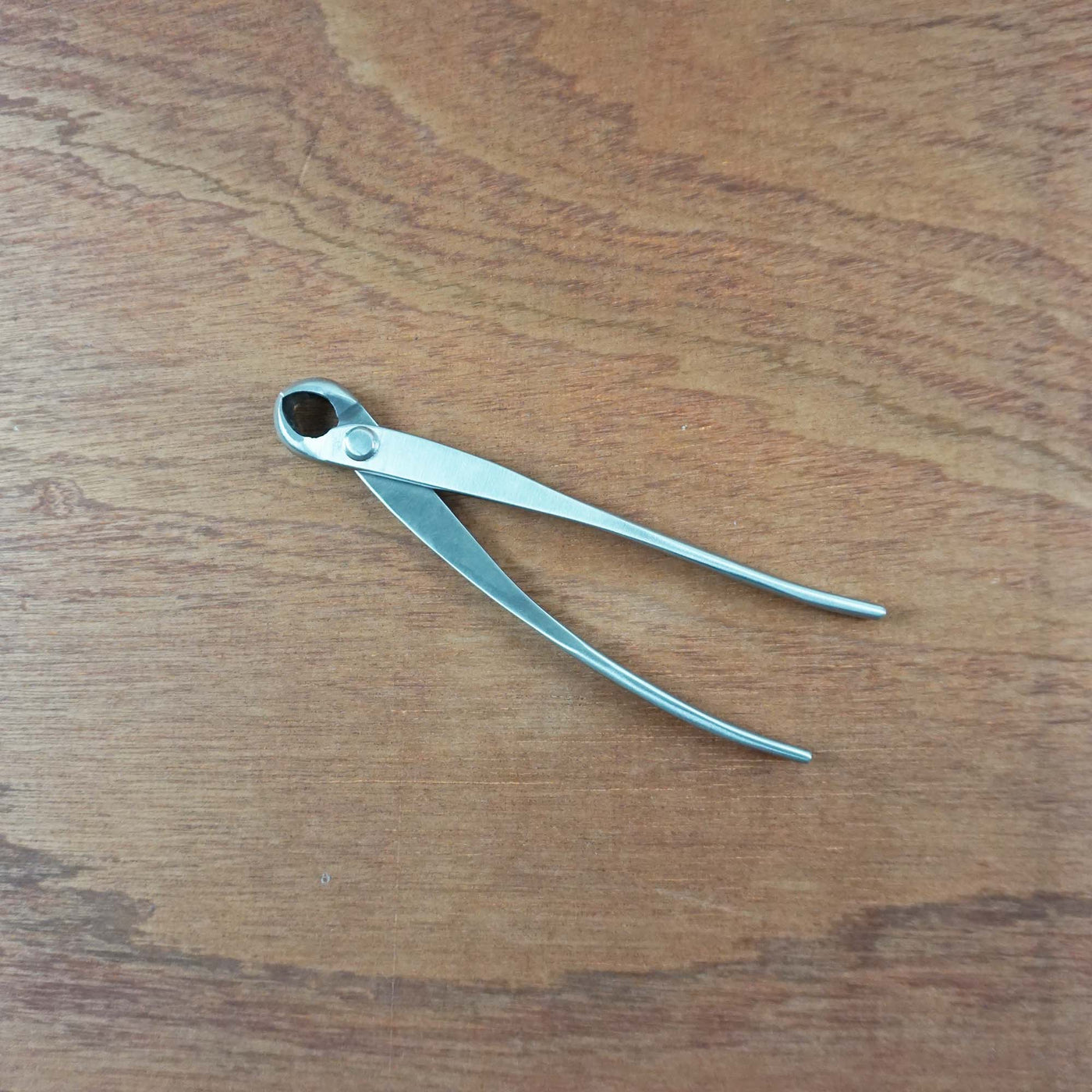 Bonsai knobbeltang RVS '180mm'