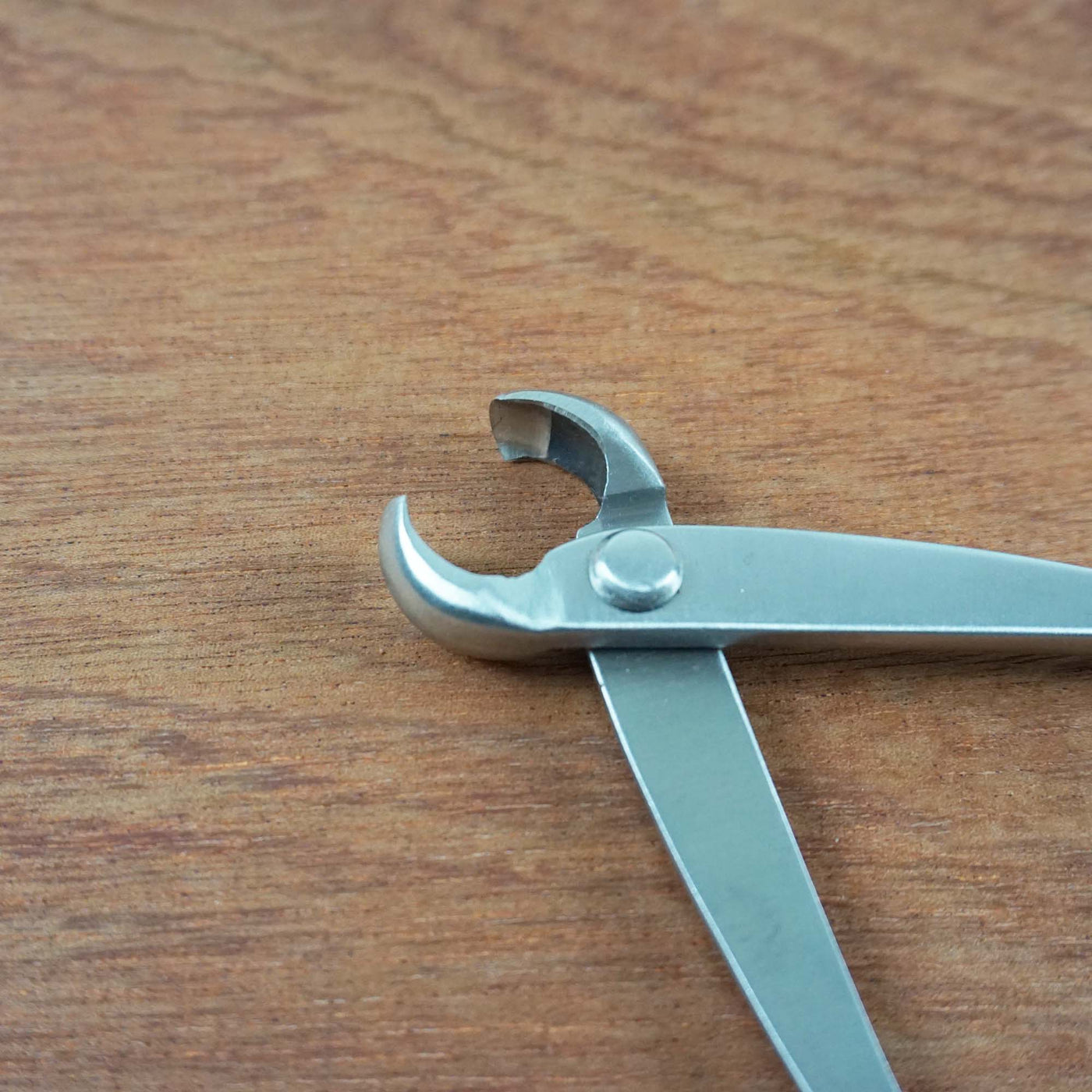 Bonsai knobbeltang RVS '180mm'