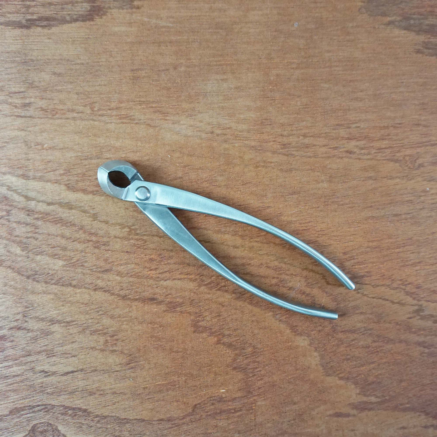 Bonsai Concaaftang RVS '210mm'