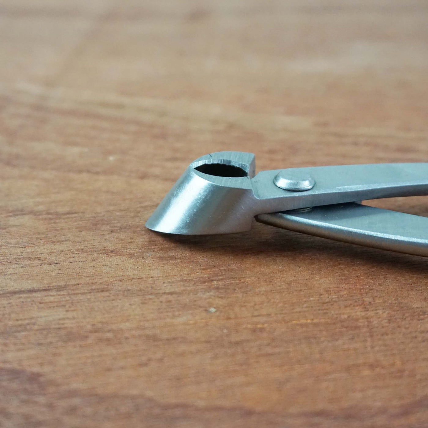 Bonsai Concaaftang RVS '210mm'