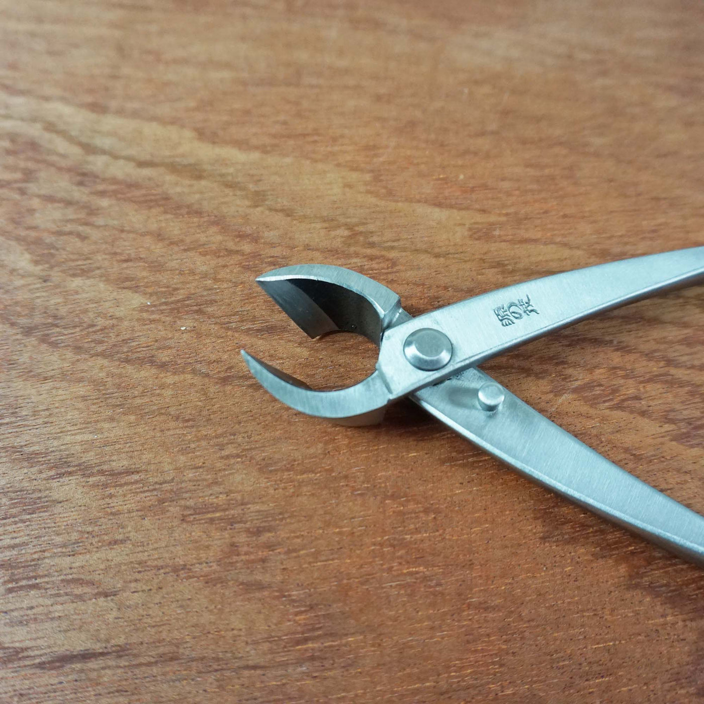 Bonsai Concaaftang RVS '210mm'