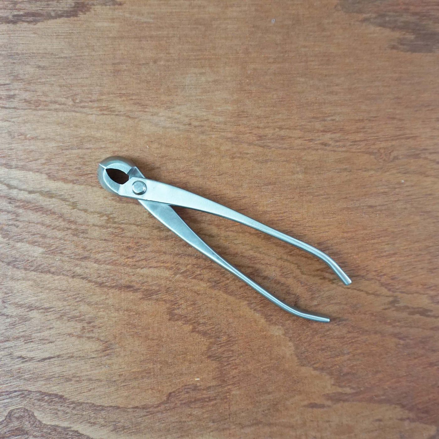 Bonsai Concaaftang 210mm 'curved' RVS