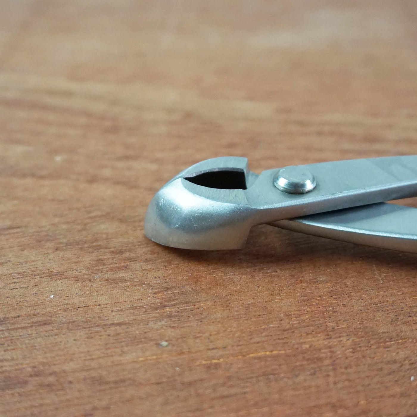 Bonsai Concaaftang 210mm 'curved' RVS