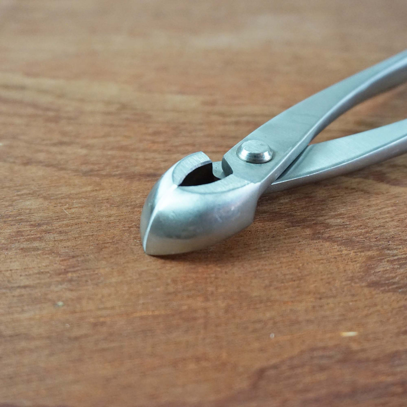 Bonsai Concaaftang 210mm 'curved' RVS