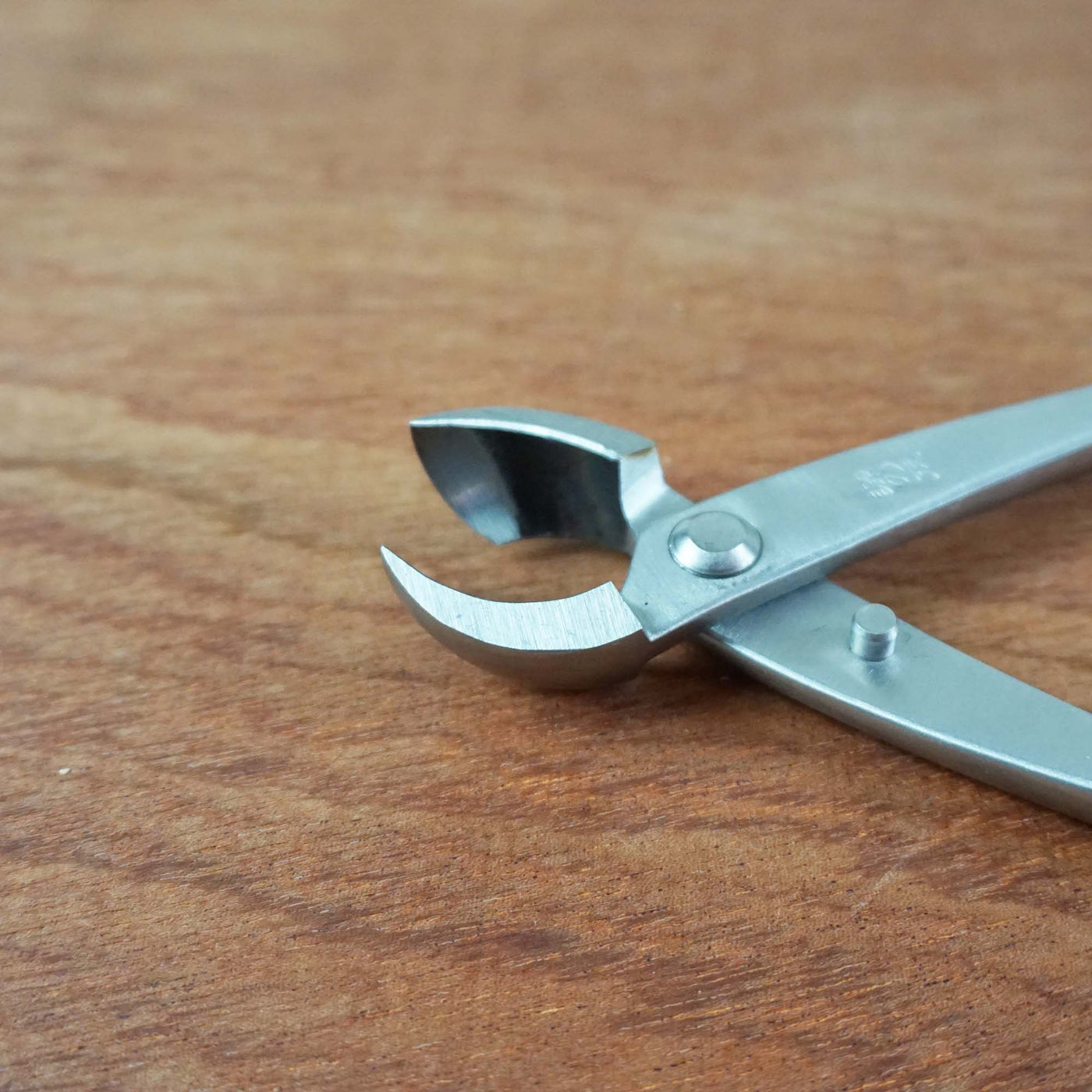 Bonsai Concaaftang 210mm 'curved' RVS